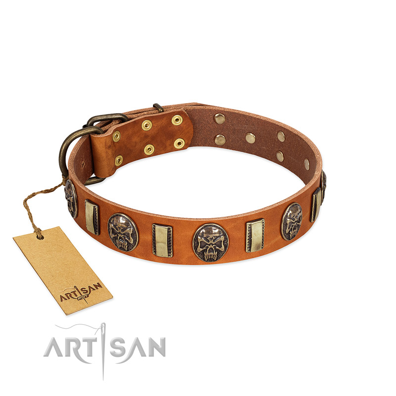 "Strike of Rock" FDT Artisan Tan Leather Collie Collar with Plates and Medallions with Skulls