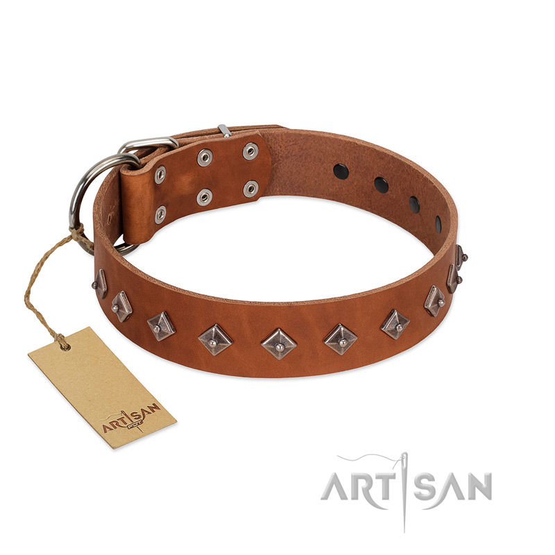 "Broadway" Handmade FDT Artisan Tan Leather Collie Collar with Dotted Pyramids