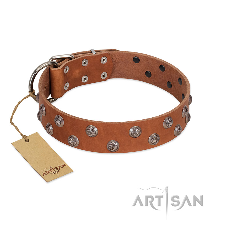 "Waltz of the Flowers" Handmade FDT Artisan Tan Leather Collie Collar with Chrome-plated Engraved Studs
