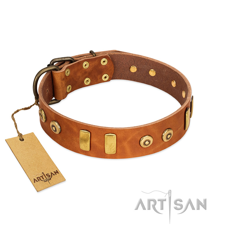 "Egyptian Script" FDT Artisan Tan Leather Collie Collar with Plates and Small Studs