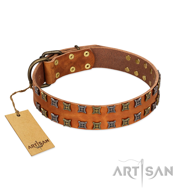 "Terra-cotta" FDT Artisan Tan Leather Collie Collar with Two Rows of Studs