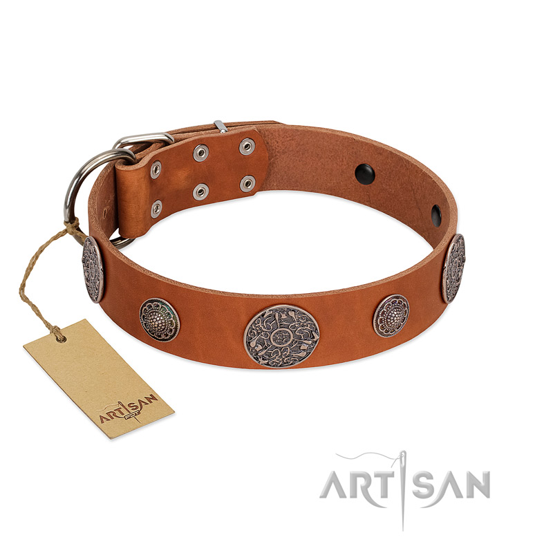 "Foxy Nature" FDT Artisan Tan Leather Collie Collar with Chrome Plated Brooches