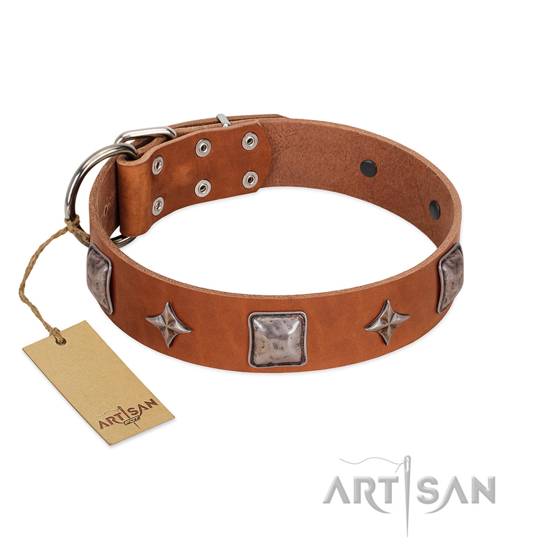"Lucky Star" FDT Artisan Tan Leather Collie Collar with Silver-Like Embellishments