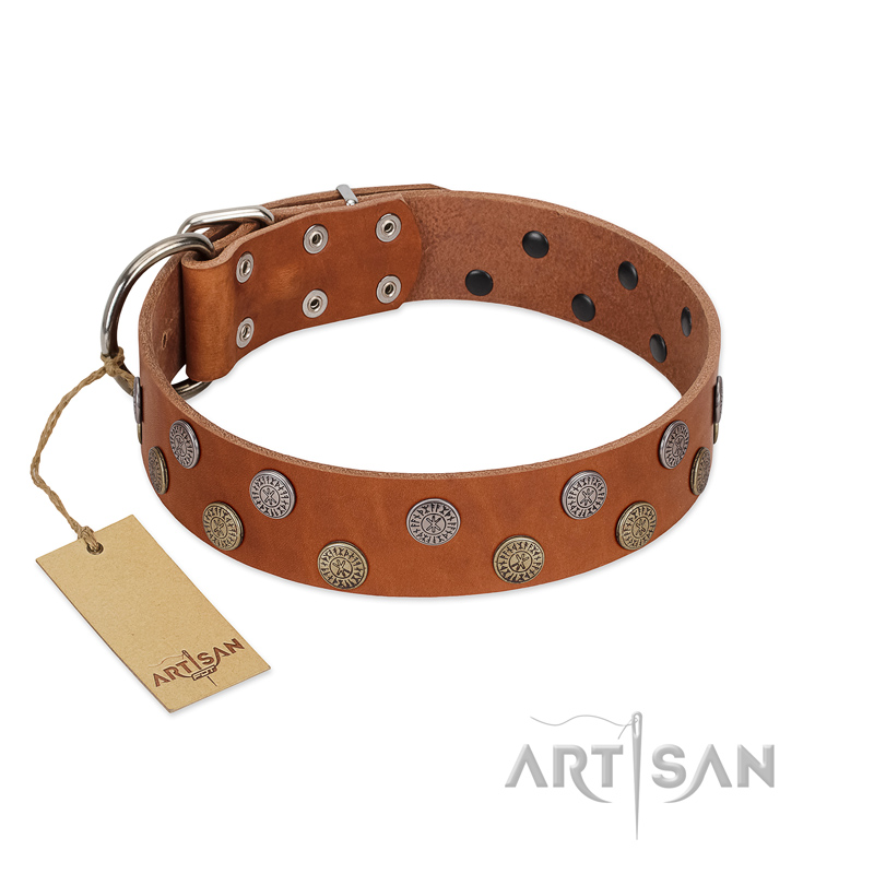 "Ancient Symbol" Trendy FDT Artisan Tan Leather Collie Collar with Silver- and Gold-Like Studs