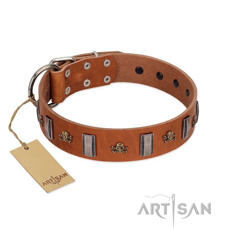 "Golden Crossbones" Handmade FDT Artisan Tan Leather Collie Collar with Plates and Skulls