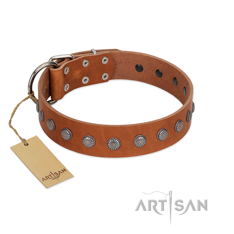 "Little Floret" Fashionable FDT Artisan Tan Leather Collie Collar with Silver-Like Adornments