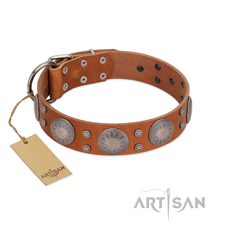 "Far Star" FDT Artisan Tan Leather Collie Collar with Engraved Studs