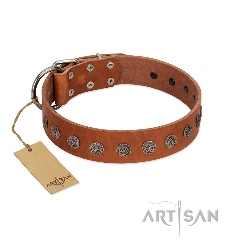 "Lucky Star" Handmade FDT Artisan Designer Tan Leather Collie Collar with Round Plates