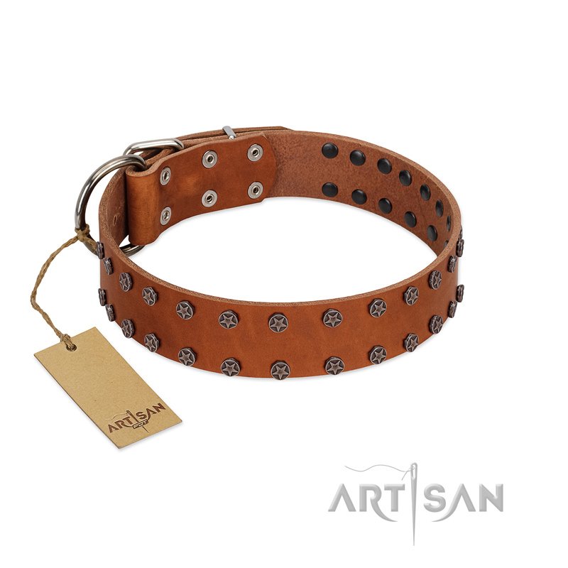 "Star Light" Stylish FDT Artisan Tan Leather Collie Collar with Silver-Like Studs - Click Image to Close
