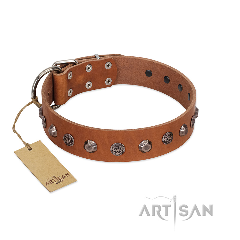 "Silver Age" Fashionable FDT Artisan Tan Leather Collie Collar with Silver-Like Studs
