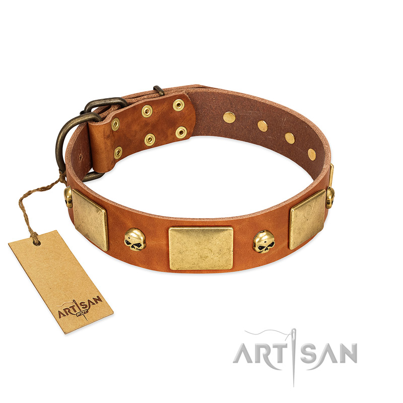 "Mutt The Daredevil" FDT Artisan Tan Leather Collie Collar with Old Bronze-like Skulls and Plates