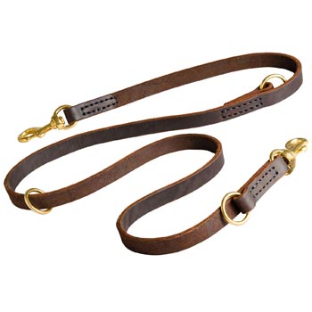 Leather Leash for Collie Everyday Walking