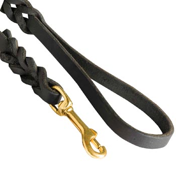 Collie Leash Brass Snap Hook and Soft Handle