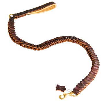 Collie Leash Leather for Successful Training