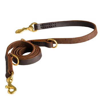 Strong Leather Leash for Collie Successful Training