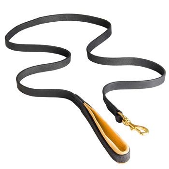 Padded Leather Leash for Collie Comfortable Walking