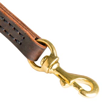 Collie Leather Leash with Brass Hardware