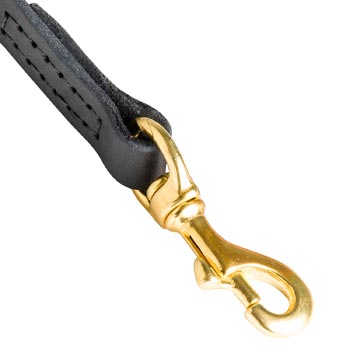Collie Leather Leash with Massive Gold-like Snap Hook