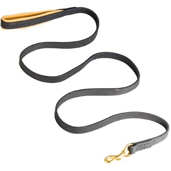 Padded Leather Collie Leash for Everyday Walking