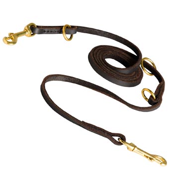 Multipurpose Collie Leather Leash for Effective Training