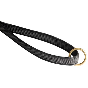 Collie Nylon Leash with Brass O-ring on Handle