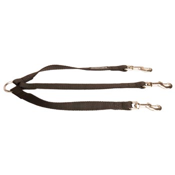 Triple Nylon Leash for Walking 3 Collie Dogs