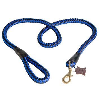 Collie Nylon Cord Leash