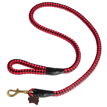 Collie Red Nylon Leash for Walking and Training