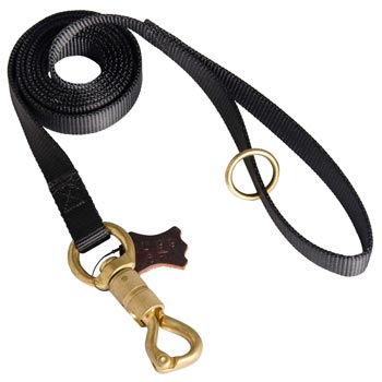 Professional Nylon Dog Leash for Police Training of Collie