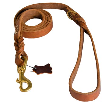 Leather Leash for Collie Successful Schutzhund Training