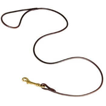 Leather Canine Leash for Collie Presentation at Dog Shows