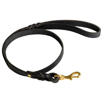 Best Training Collie Leash with Braided Details on Opposite Sides