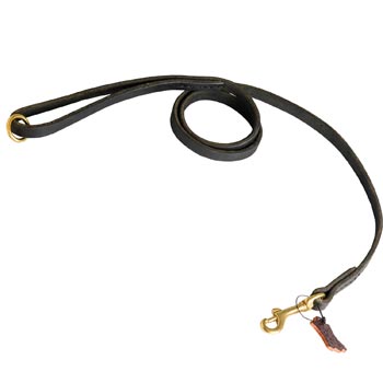 Strong Leather Collie Leash for Popular Dog Activities
