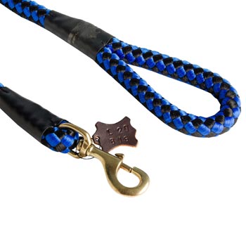 Blue Nylon Collie Leash 