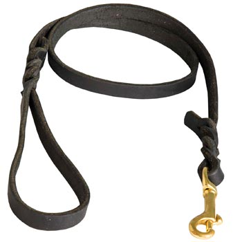 Training Leash for Collie