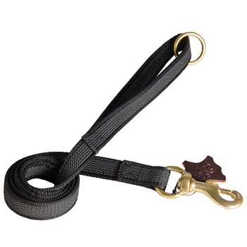Nylon Leash for Collie Training will Help to Achieve Great Results