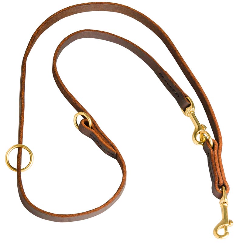 Louis Pup Monogram Leather Collar & Leash – Paws Circle