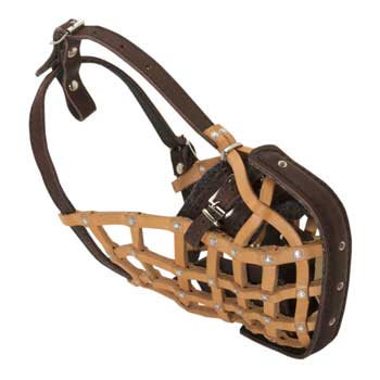 Collie Muzzle Leather Mesh for Walking and Training