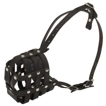 Leather Cage Collie Muzzle Padded
