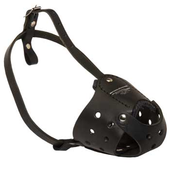 Walking Leather Muzzle for Collie