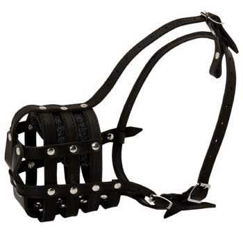 Collie Muzzle Leather Cage for Daily Walking