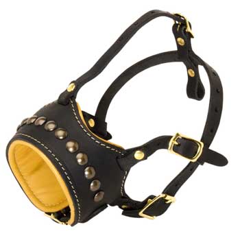 Collie Muzzle for Walking