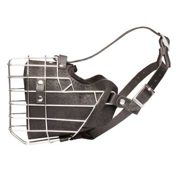 Leather Basket Collie Muzzle