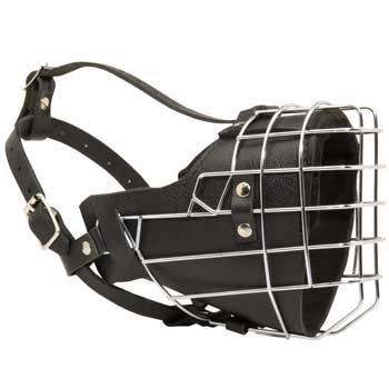 Padded on the Nose Collie Muzzle