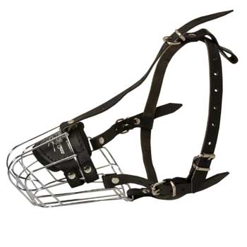 Wire Cage Muzzle for Training Collie Working Dogs
